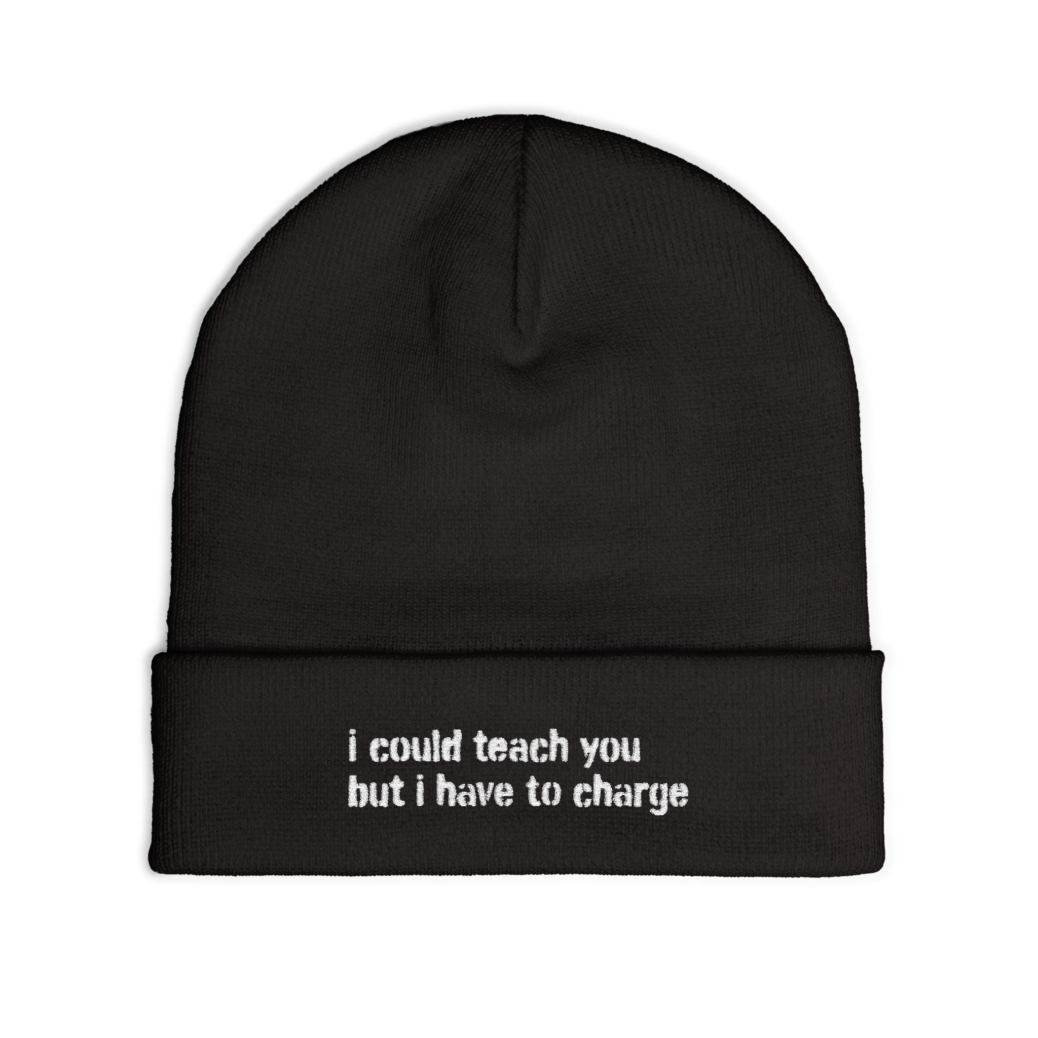 I Could Teach You Embroidered Knit Beanie