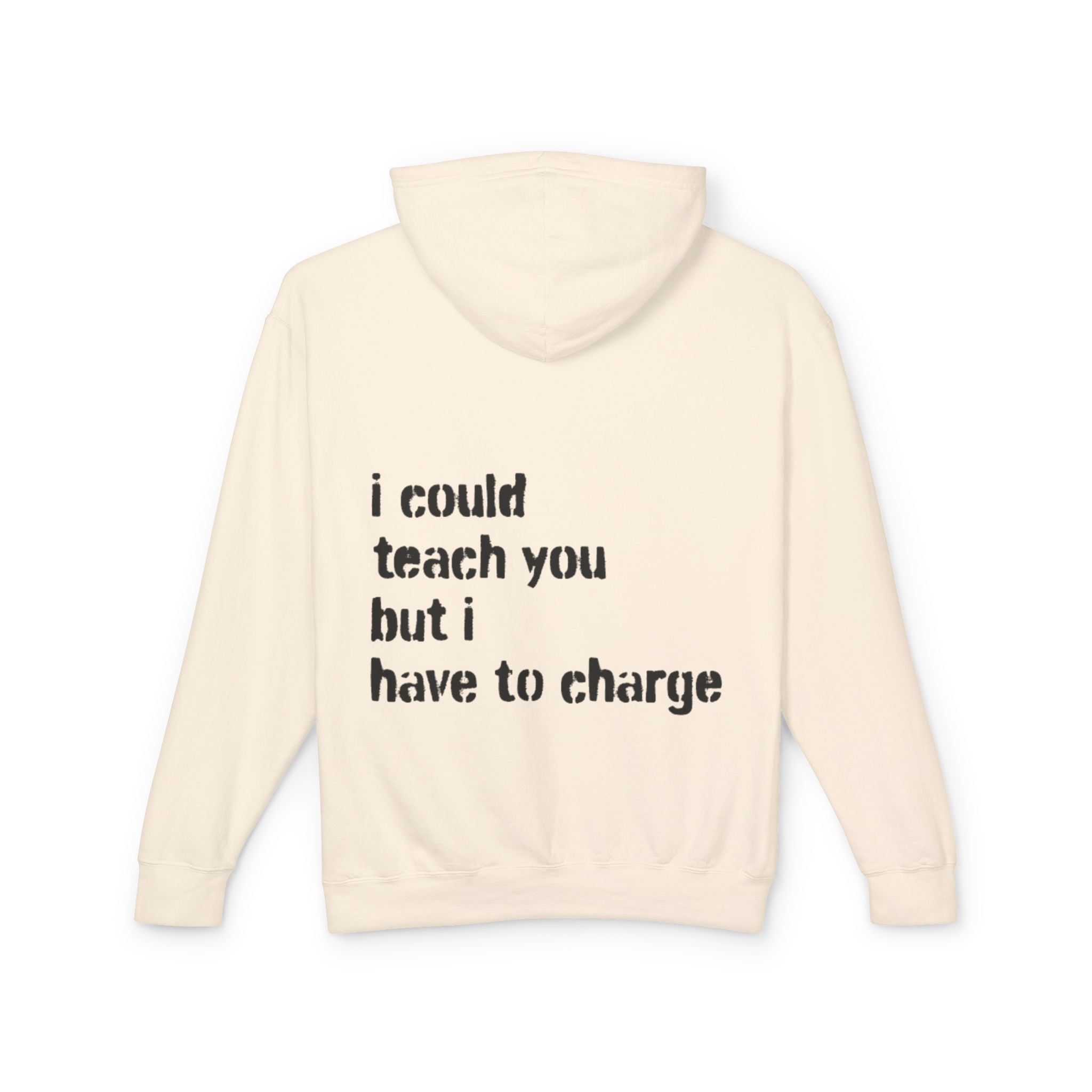 I Could Teach You Lightweight Hooded Sweatshirt